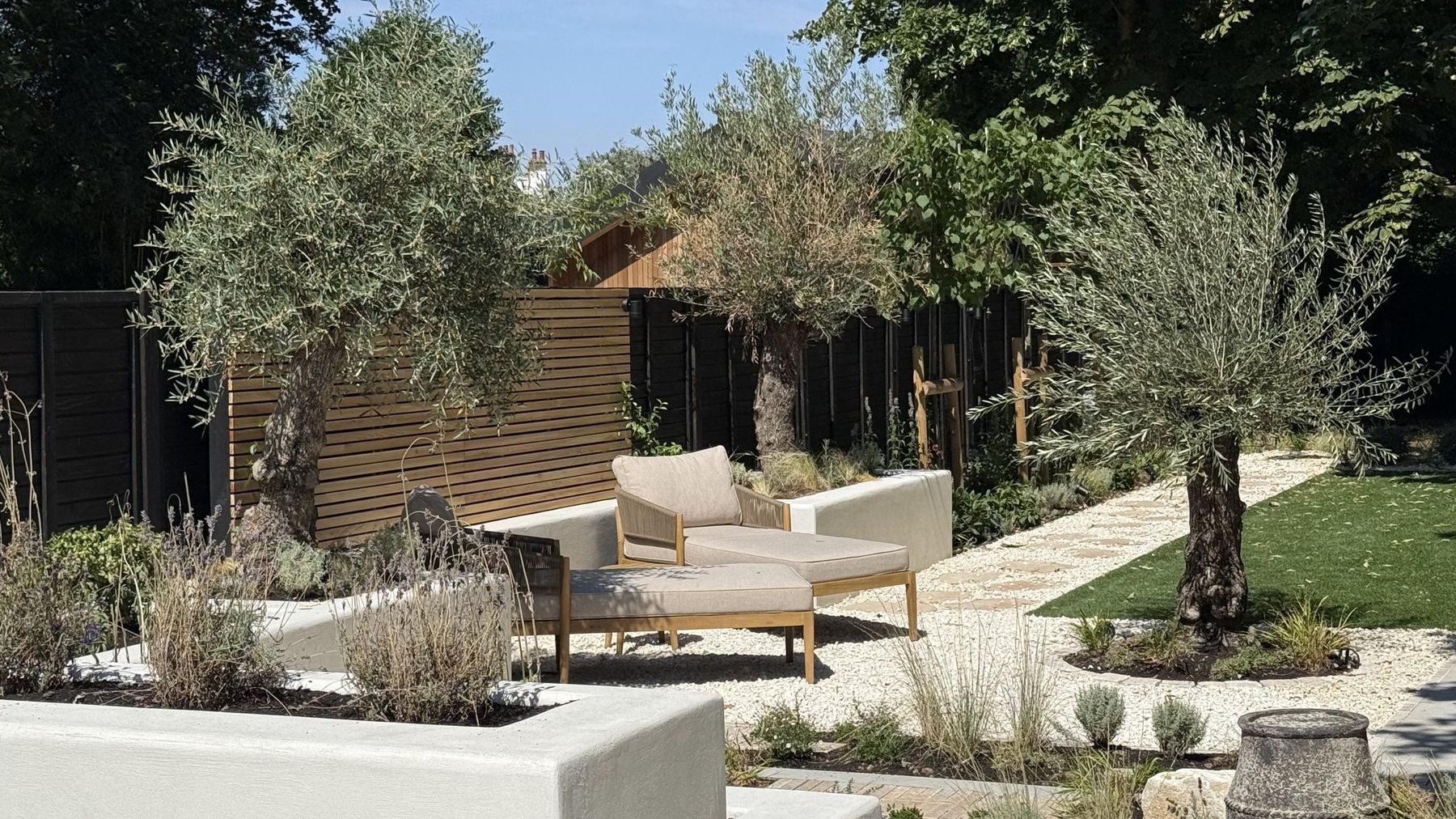 Finished garden with rendered raised beds, olive trees, seating and a gravel path